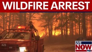 Teen bonfire sparked massive NJ wildfire, officials say