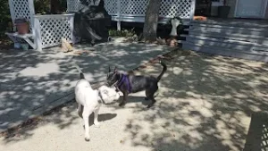 Peper meets new friend