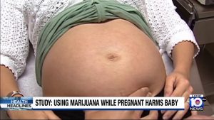 New research indicates marijuana use is harmful to babies