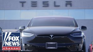 Tesla employees share what it’s like to work for Elon Musk: ‘VISION AND OPPORTUNITY’