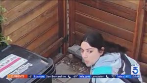 Amazon driver poops, pees in front of at least two L.A. homes on Mother’s Day