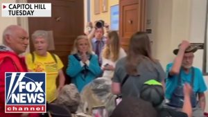 Protesters arrested by Capitol Police for disrupting budget markup