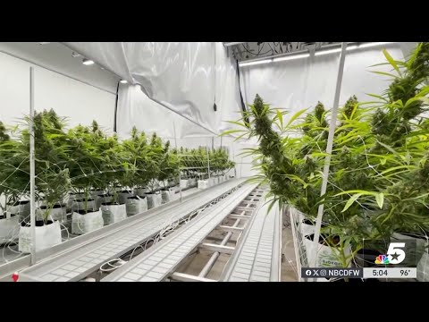 Emergency rules allow THC retailers to sell cannabis to adults in Texas