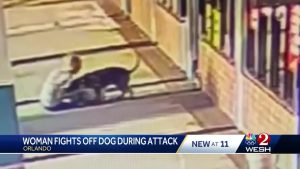 70-year-old Florida woman bites pitbull to save her dog
