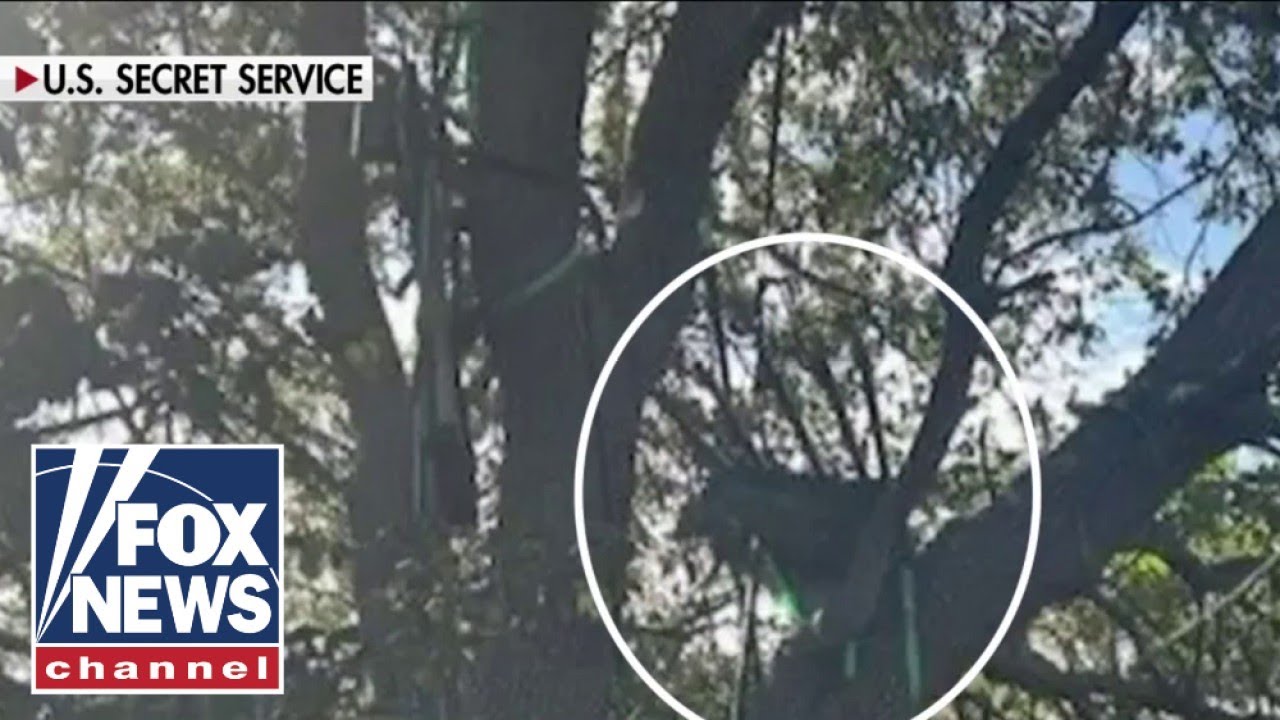 BREAKING: Hunting stand found with line of sight to Air Force One