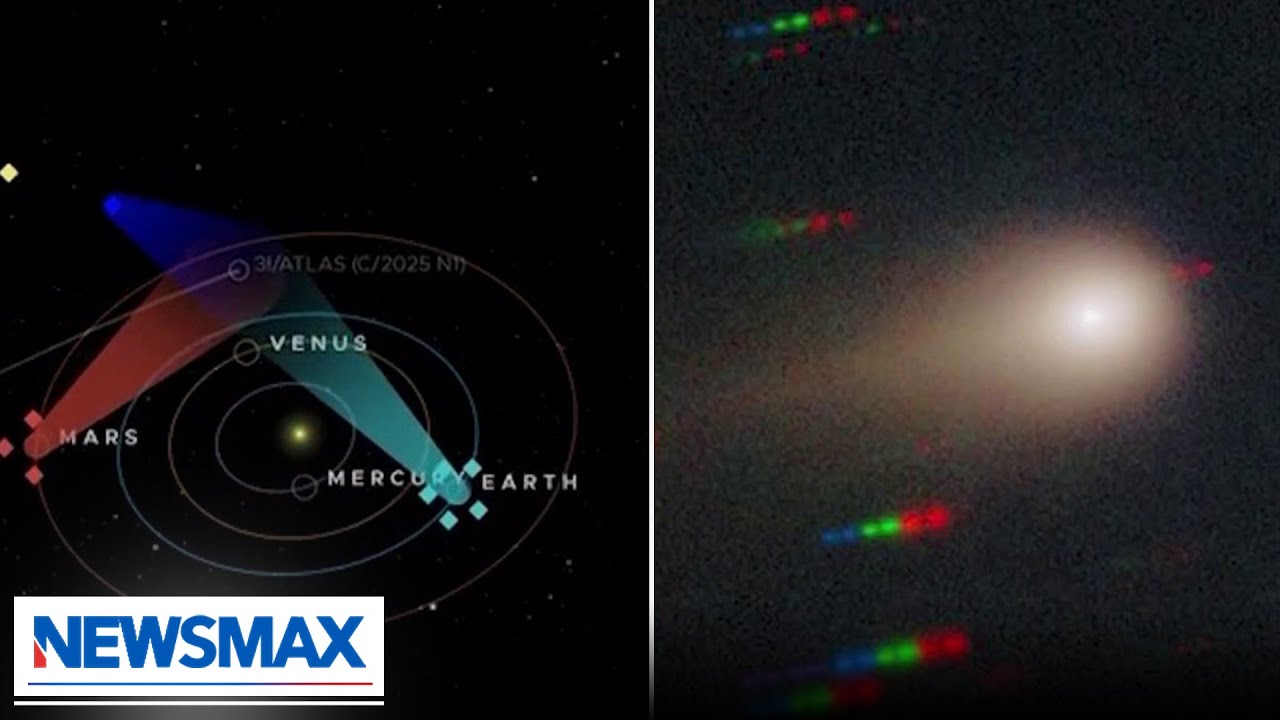 40% chance mysterious object is alien technology: Dr. Avi Loeb