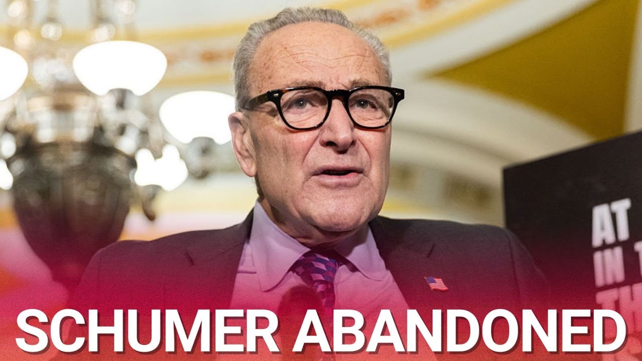 Democrats savagely turn on Schumer after unhinged demands to reopen government are exposed