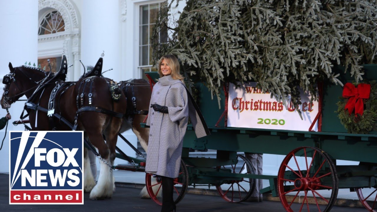 First lady Melania Trump welcomes White House Christmas Tree