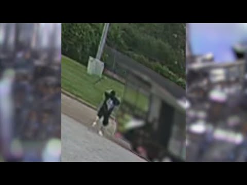 North Harris County bar owner’s parking lot video goes viral