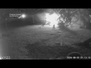 Richmond family’s pet goose wakes them up when their barn was on fire in the middle of the night