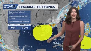Tracking the Tropics: Two areas for potential tropical development