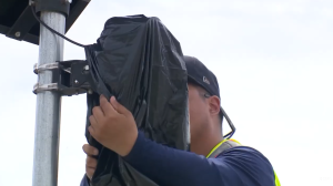 Texas City police change Flock camera policies after misuse