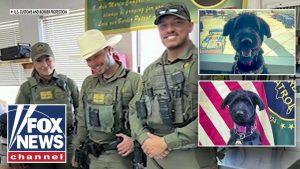 Dog SAVED from euthanasia list makes Border Patrol HISTORY