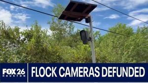 Manvel votes to defund Flock cameras