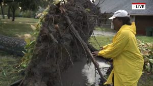 50,000+ Without Power as Southeast Texas Cleans Up After Tropical Storm Edouard
