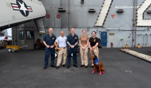 Captain Fathom: the only dog on USS Abraham Lincoln