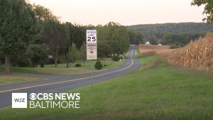 Harford County parents support bus driver removed after stopping to rescue kitten