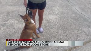 Lafayette woman kicked out for bringing service dog to store
