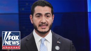 ‘They SHOULD worry’: Dem pollster SOUNDS ALARM on El-Sayed